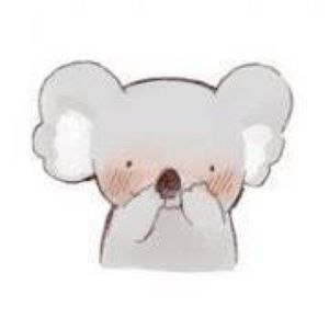 Meet your Posher, Ying